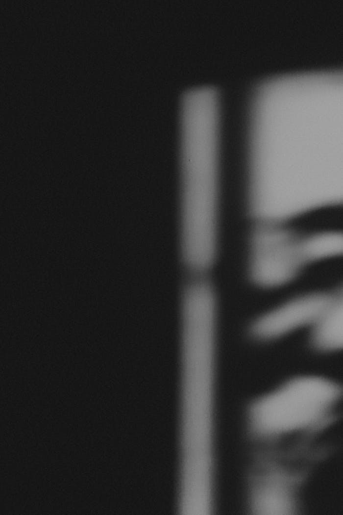 A detailed abstract black and white image depicting blurred window shadow patterns on a dark surface.
